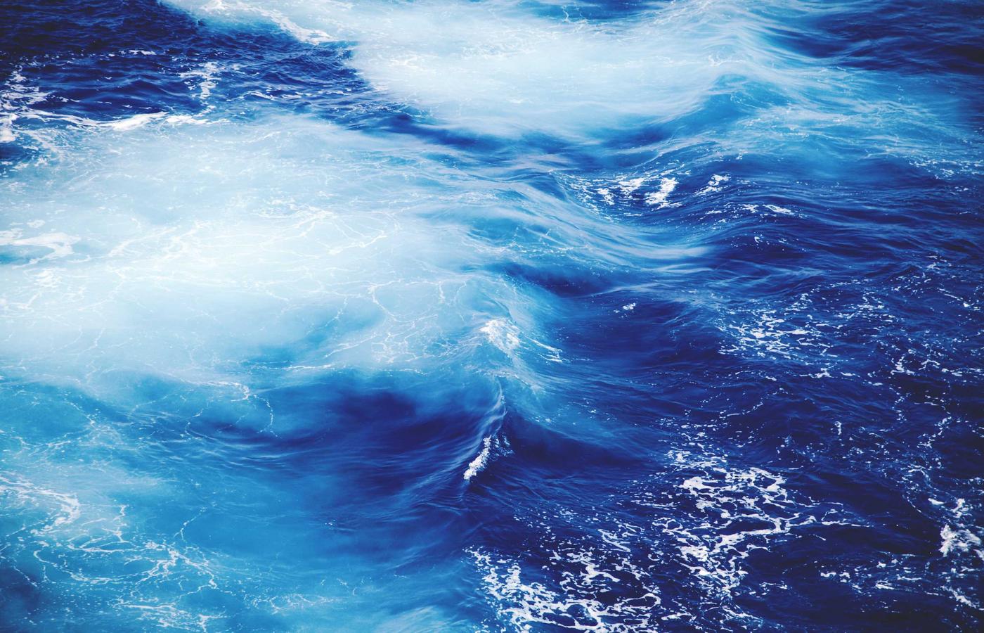 Porträt von Dr. Lena Richter