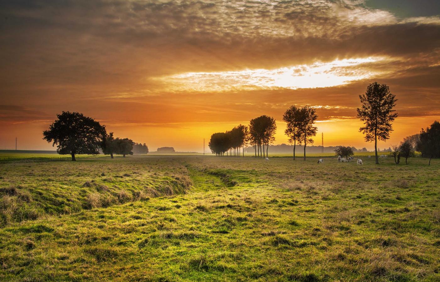 Porträt von Sofia Martinez