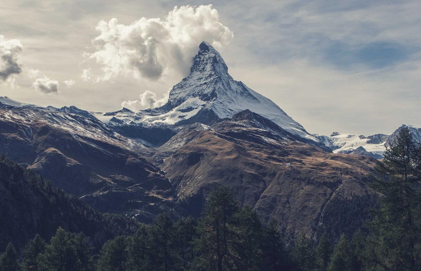 Porträt von Eva Neumann